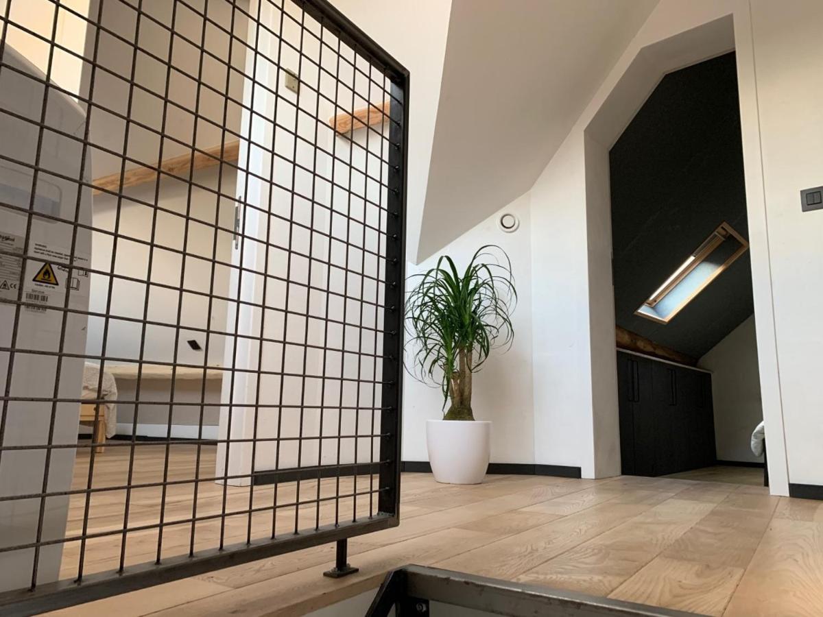 Froissart Loft Et Studio ชิเมย์ ภายนอก รูปภาพ